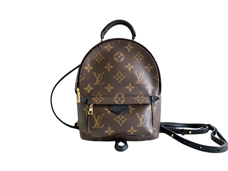 photo n°1 : LOUIS VUITTON SPRINGS BACKPACK