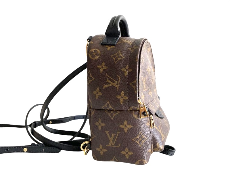 photo n°2 : LOUIS VUITTON SAC A DOS PALM SPRINGS