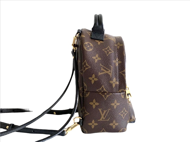 photo n°3 : LOUIS VUITTON SPRINGS BACKPACK