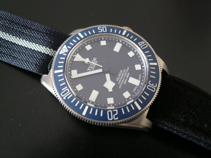 photo n°2 : TUDOR PELAGOS FXD MARINE NATIONALE 21