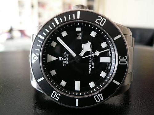 TUDOR PELAGOS