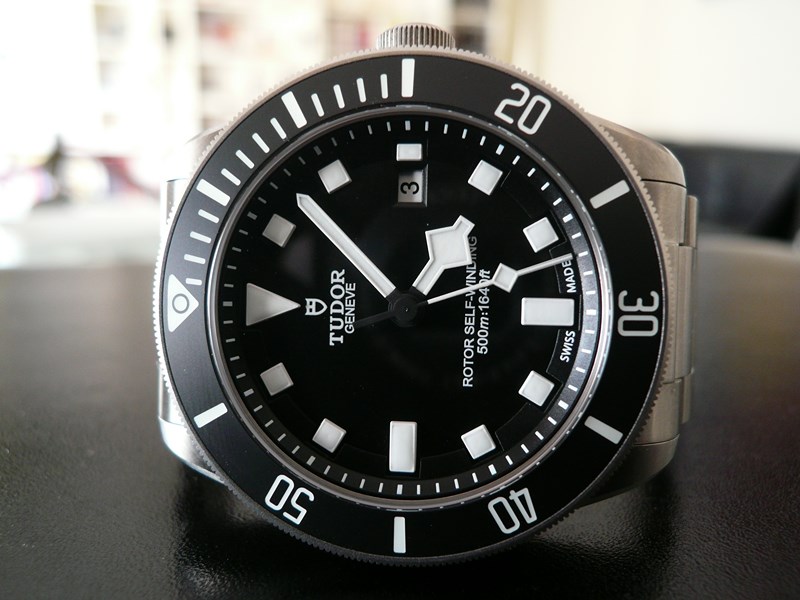 TUDOR PELAGOS
 	 
