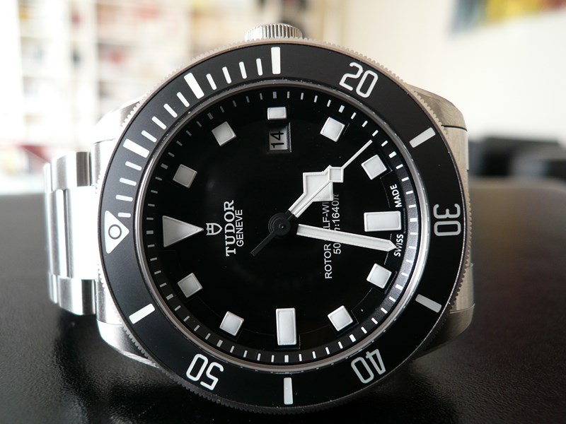 TUDOR PELAGOS
 	 
