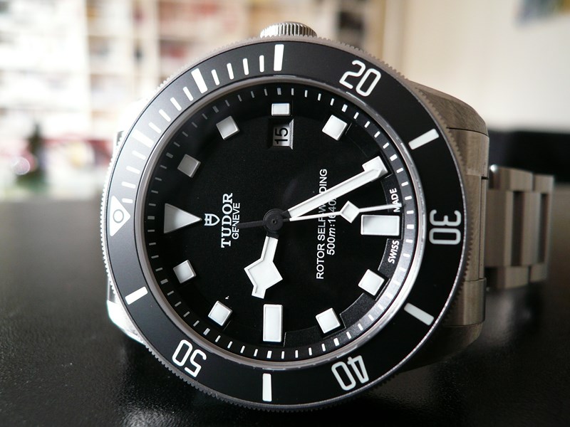 TUDOR PELAGOS
 	 
