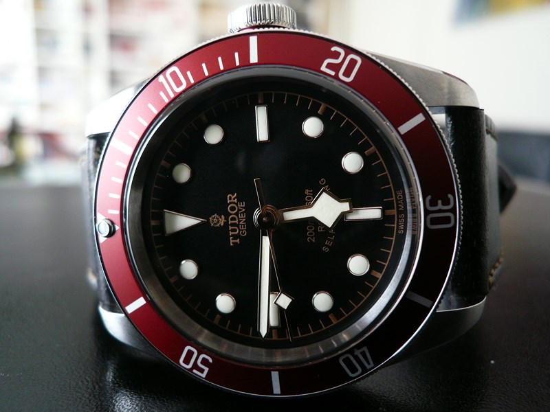 TUDOR HERITAGE BLACK BAY
 	 
