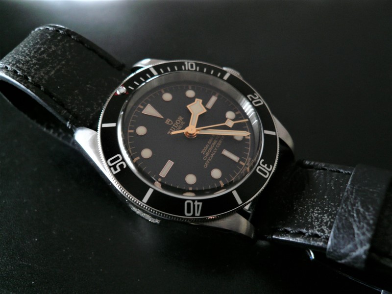 photo n°2 : TUDOR HERITAGE BLACK BAY